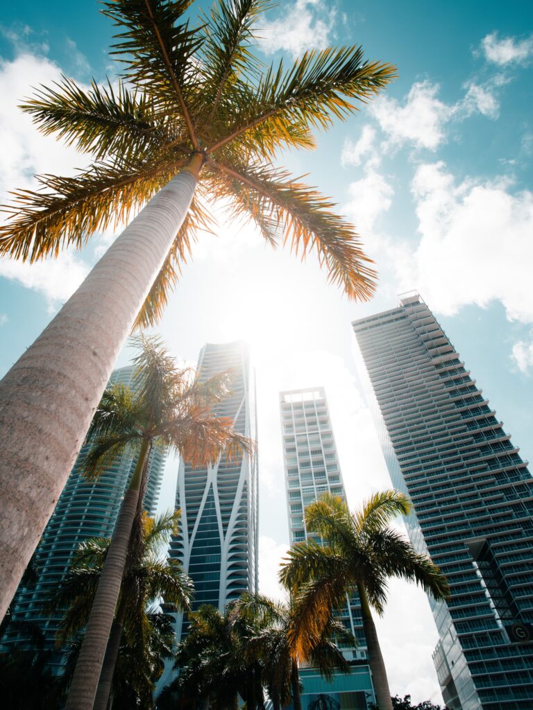 Structural Engineer Miami adam thomas bC6M3pYG71g unsplash